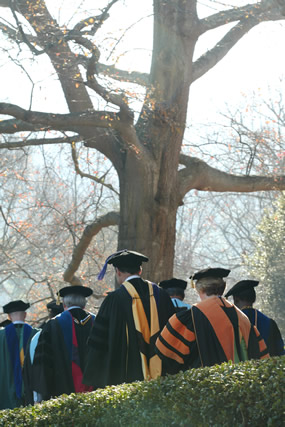 Faculty members process
