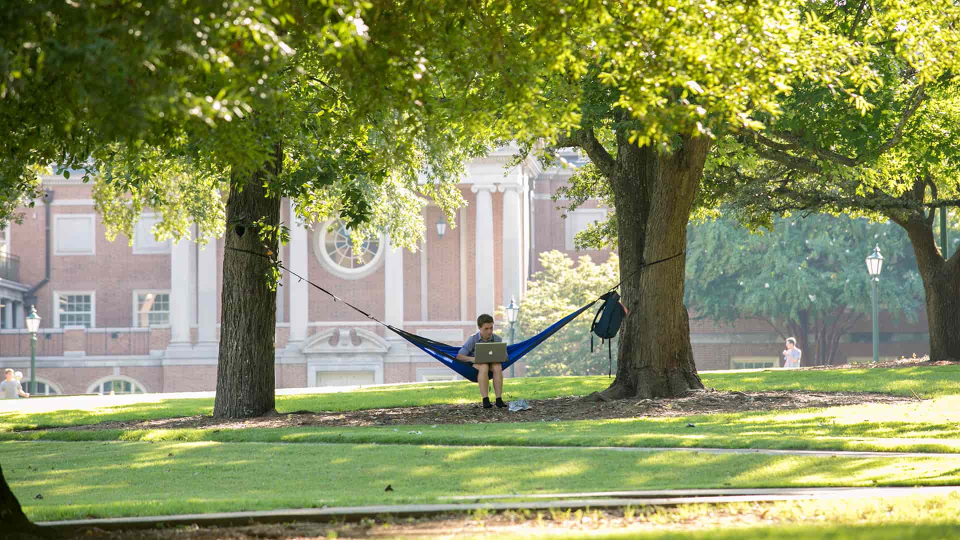 male student with laptop in hammock
