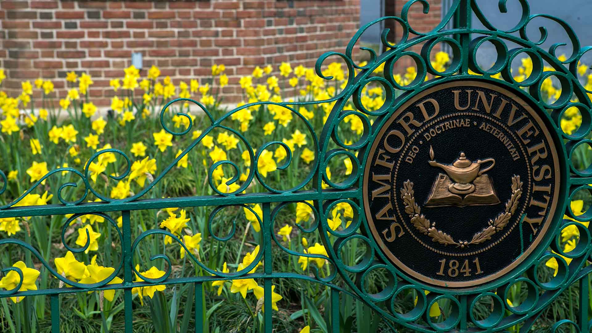 university seal and daffodils