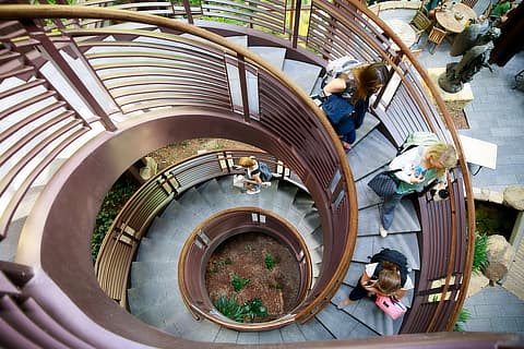 overhead view of CHS spiral staircase SD09193881