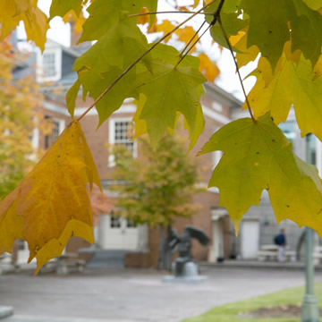 Fall campus Fall campus