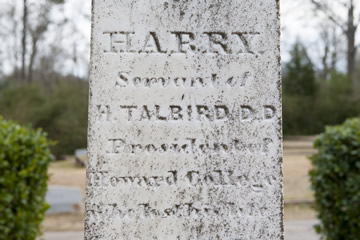 Monument to Harry Monument to Harry