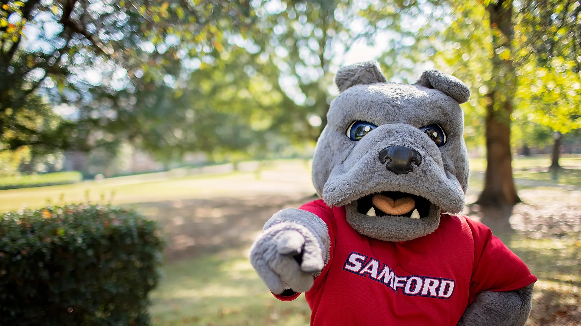 Sam Bulldog Mascot