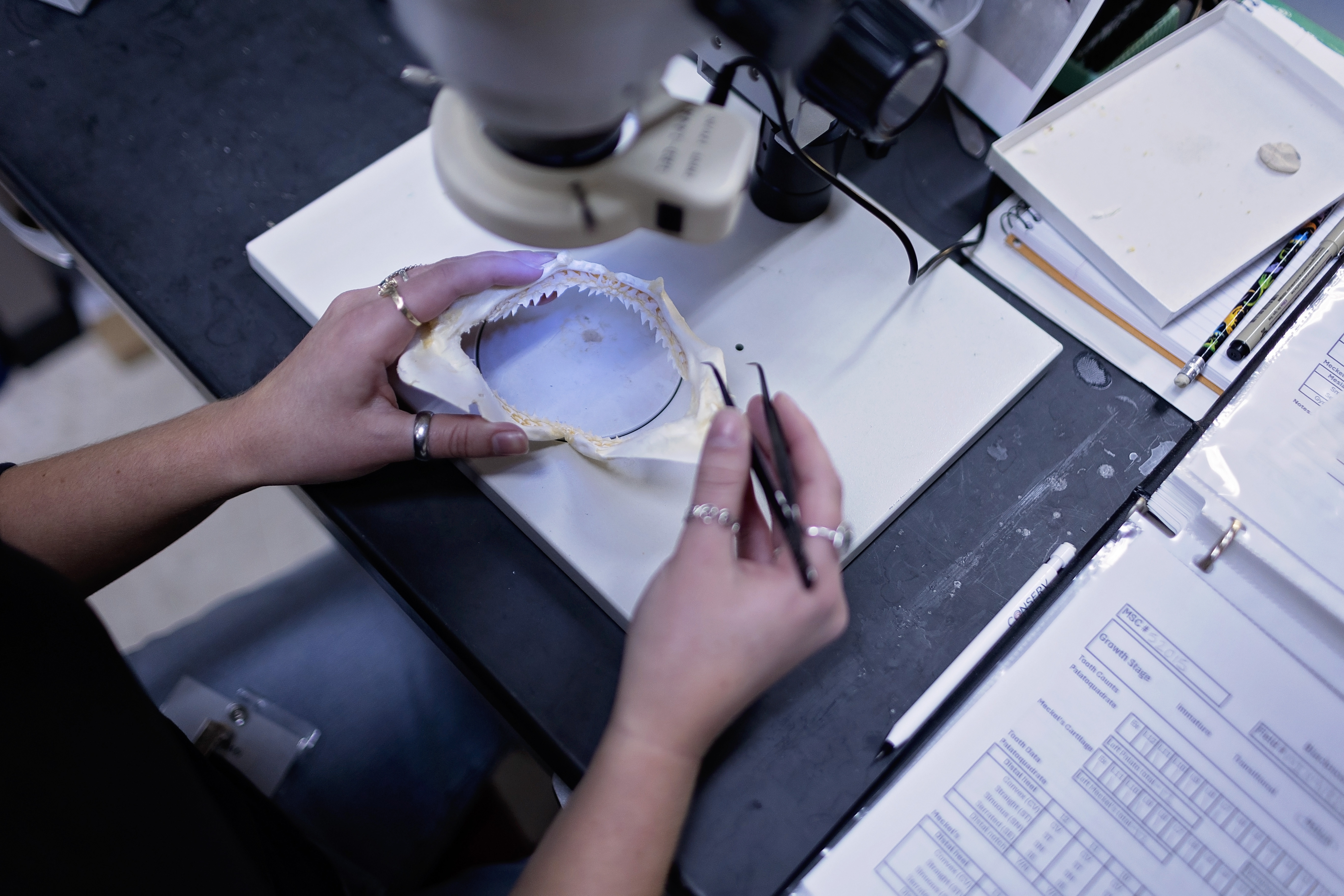 Student in lab