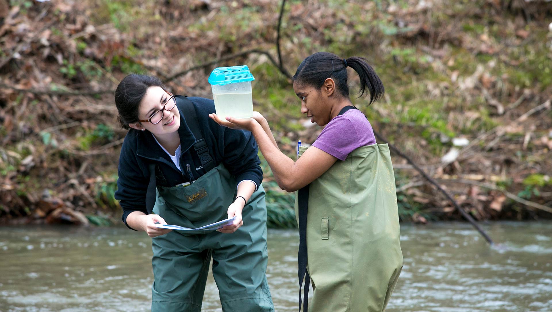 inspecting sample from creek