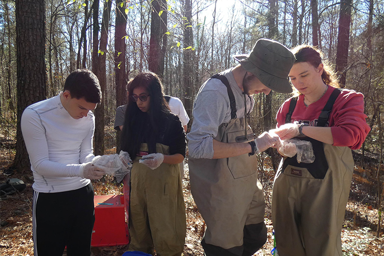 Zoology Research