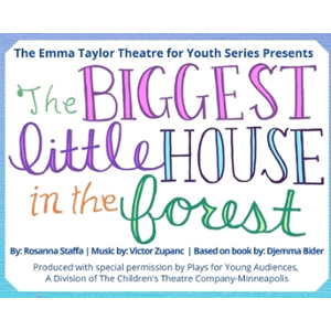 Biggest Little House Graphic