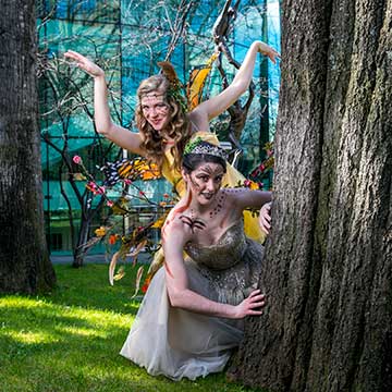 Two female fairies peeking out from behind a tree