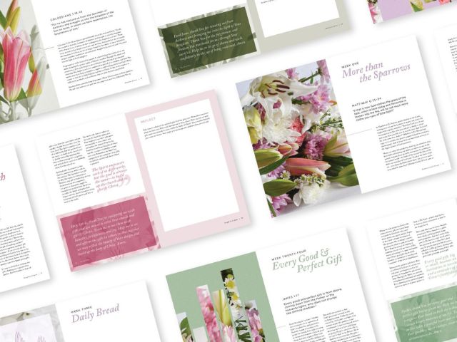 Anna-Baldwin-The-Gift-of-More.