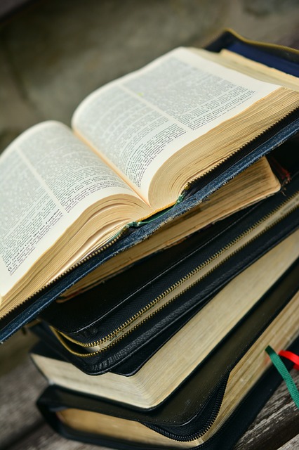bible study