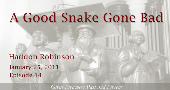 From the Archives: A Good Snake Gone Bad