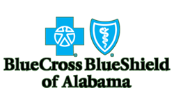 Blue Cross Blue Shield logo