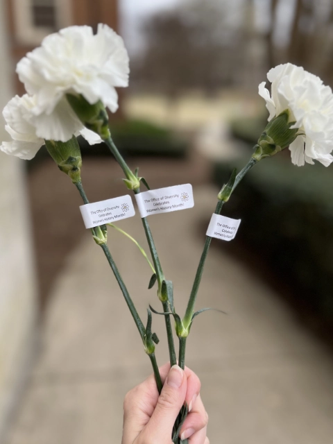 three carnations