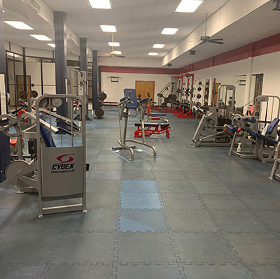 weights weights