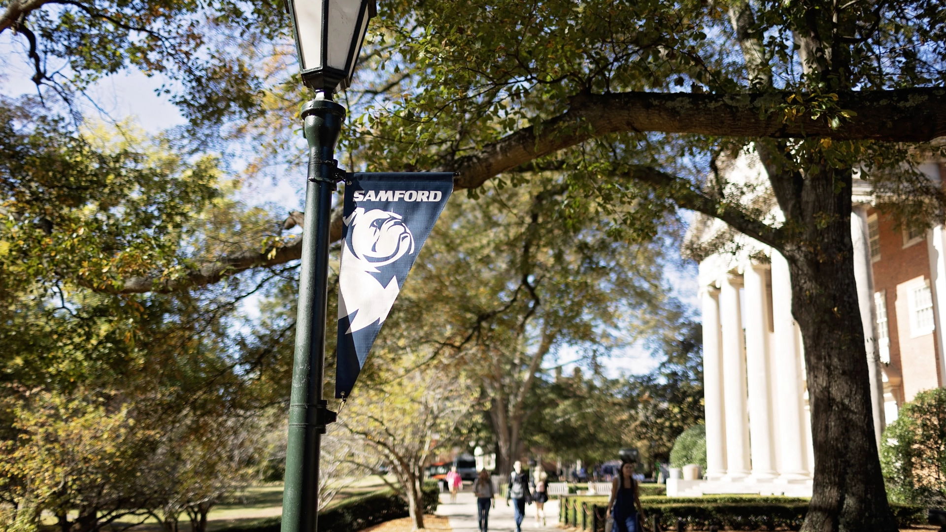 bulldog banner and library