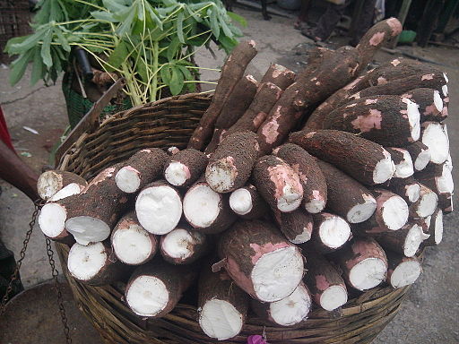 Nigeria Cassava
