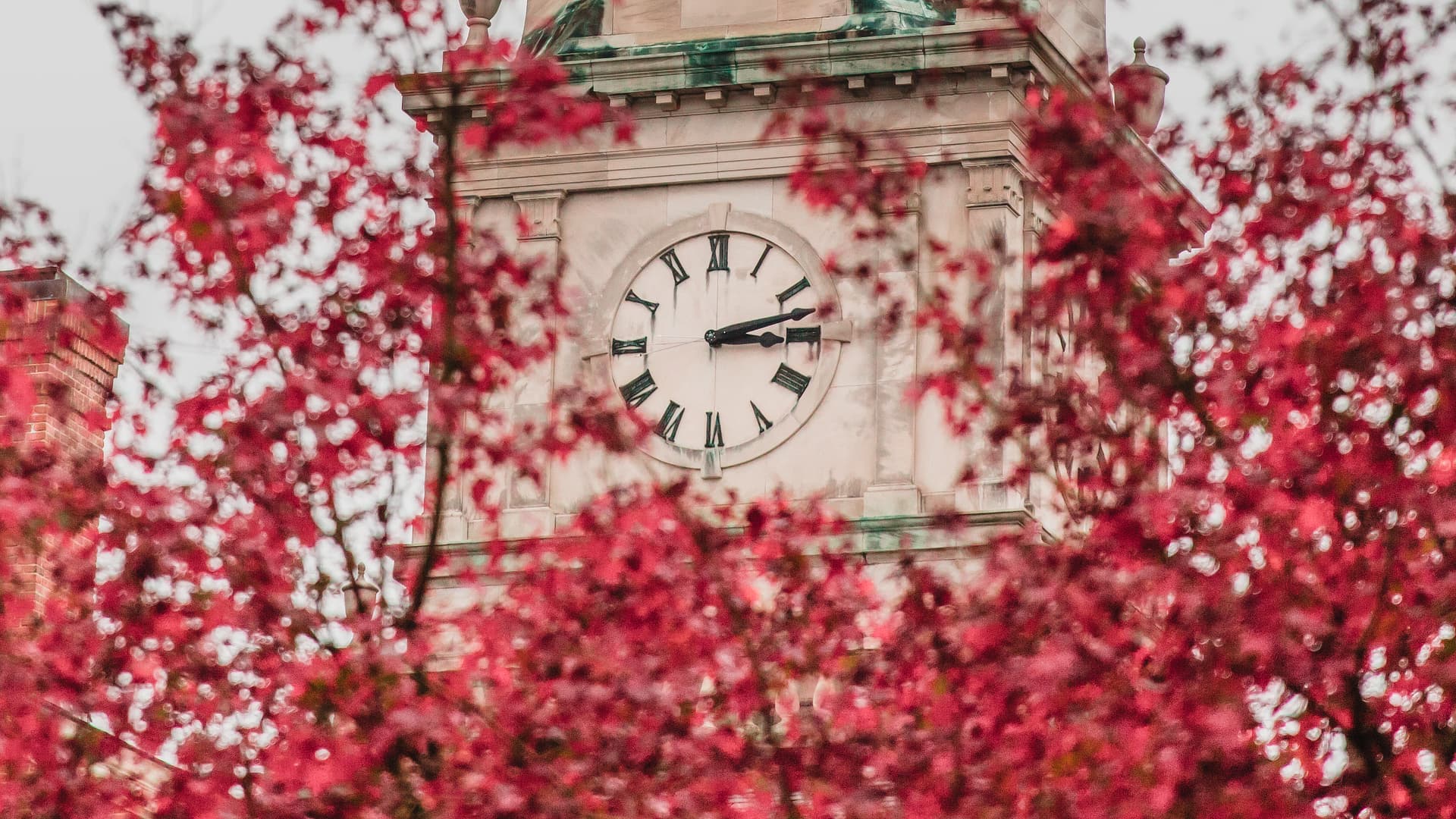 red trees and clock face
