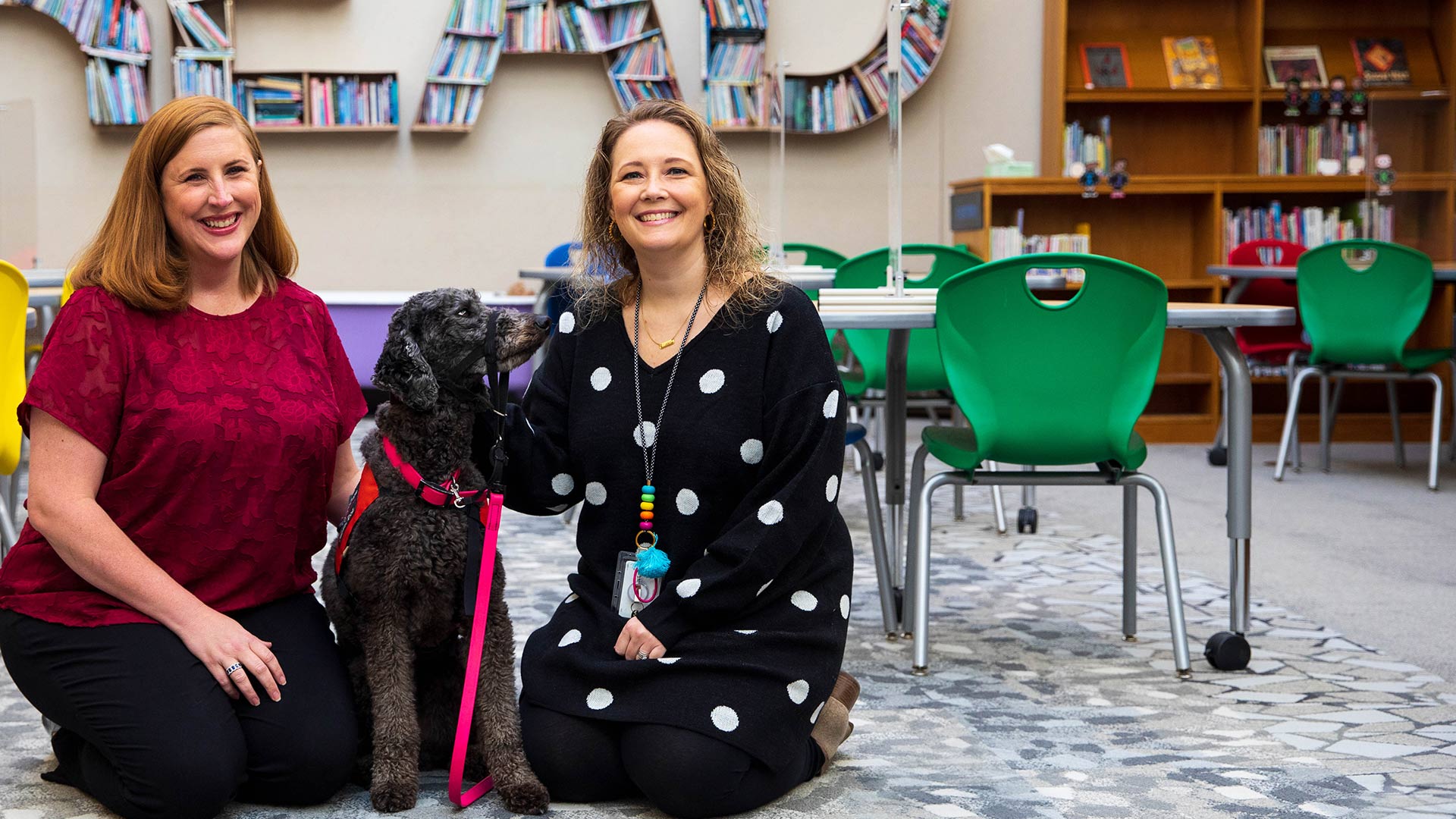 Dog inside Library Banner