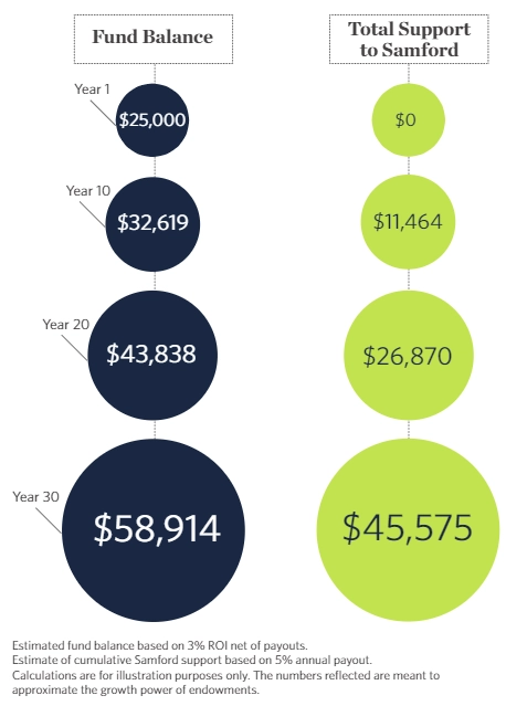 Endowment Graphic