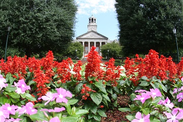 Red Flowers Library Centennial Walk