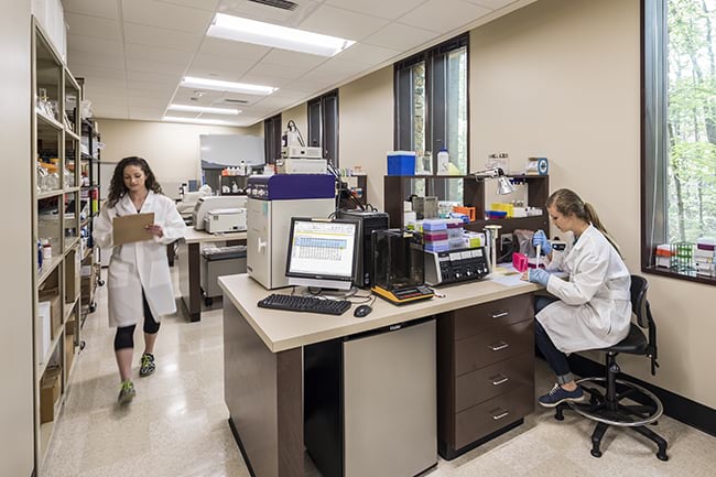 Students in College of Health Sciences' Nutrition Research Lab