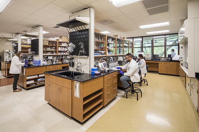 Samford pharmacy research lab