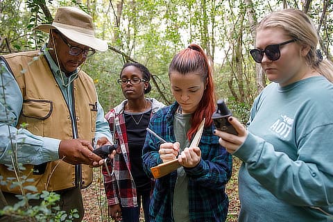 Students Conducting Research SD10197918