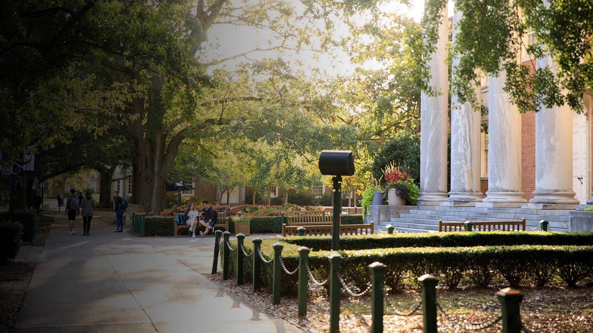 Perfect Day in front of Library