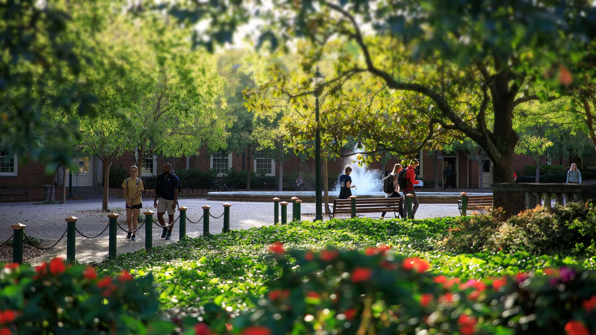 Samford Professional Studies Liberal Studies