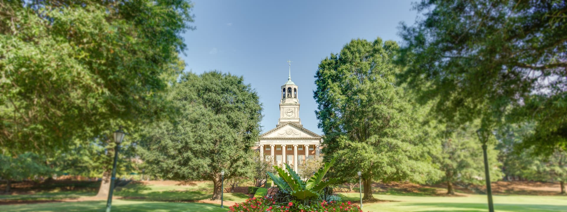 Centennial Walk Library