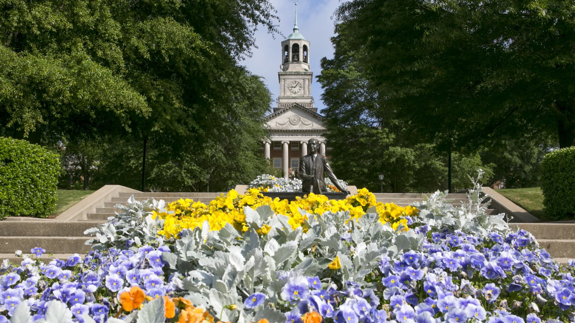 mr beeson and cascade of flowers header