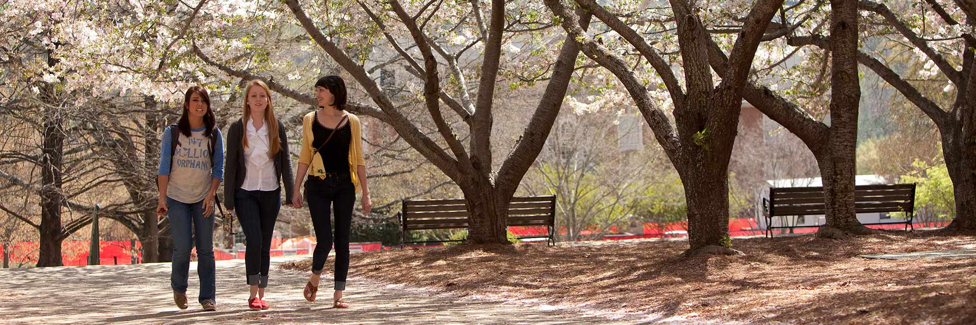 Three Female Students Walking in Spring Header