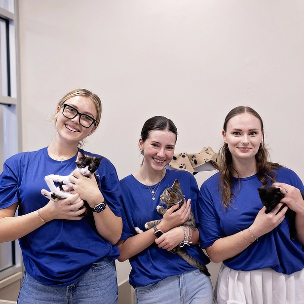 Students with Kittens