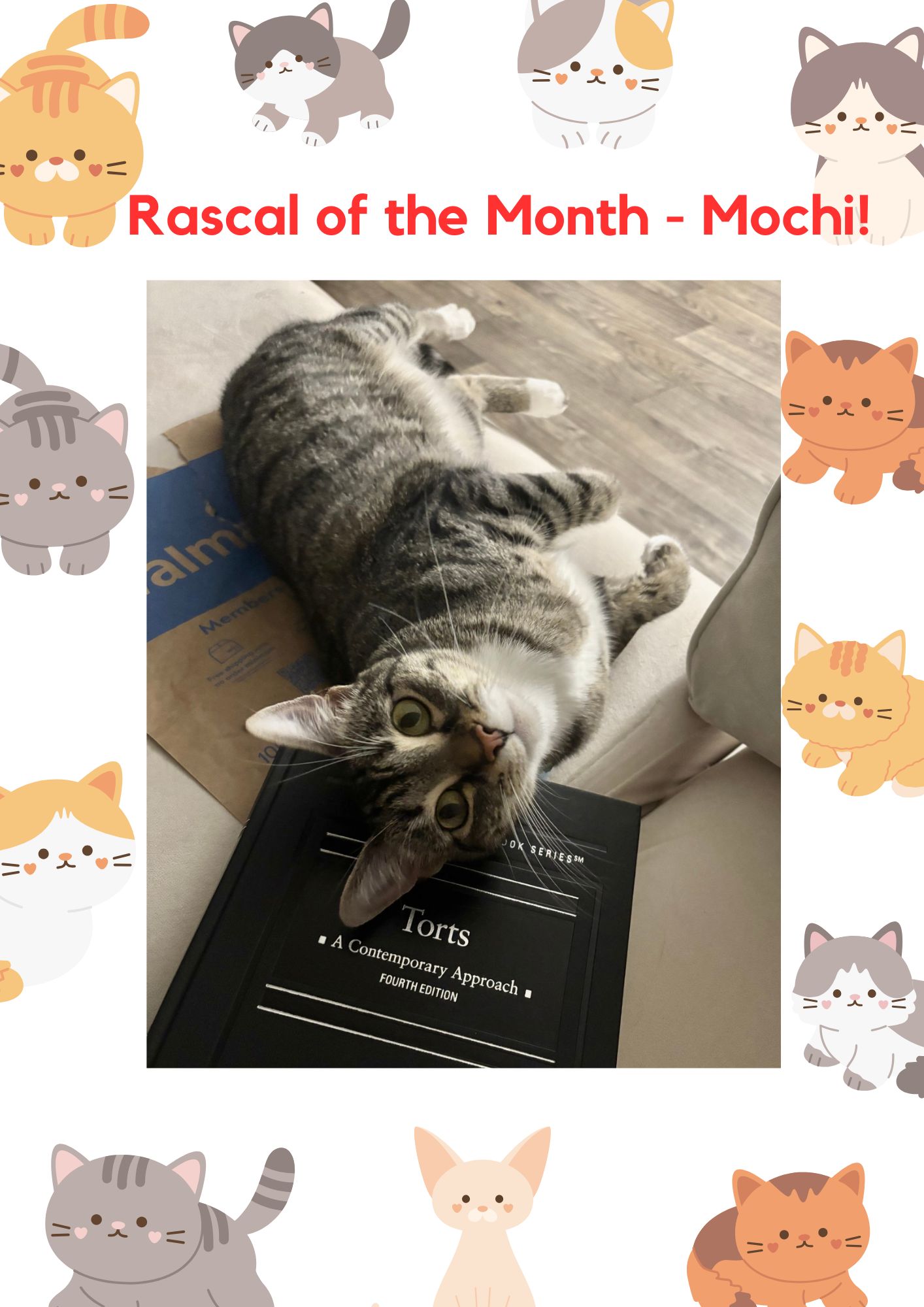 mochi sep 25 rascal