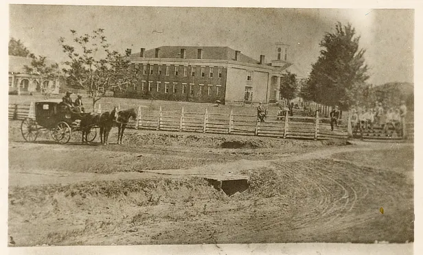 Horse and Carriage