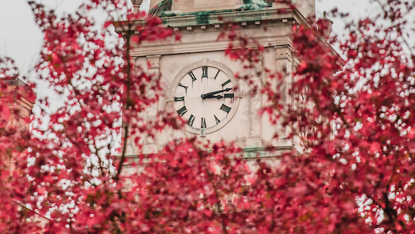 Belltower Clock Through Fall Leaves