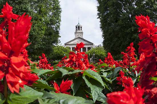 Library with red flowers