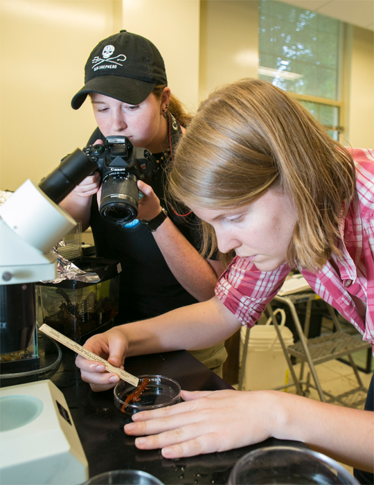 REU 2015 students