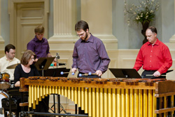 marimba player