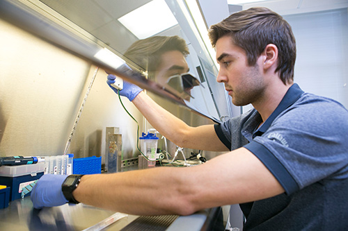 pharmacy student in lab