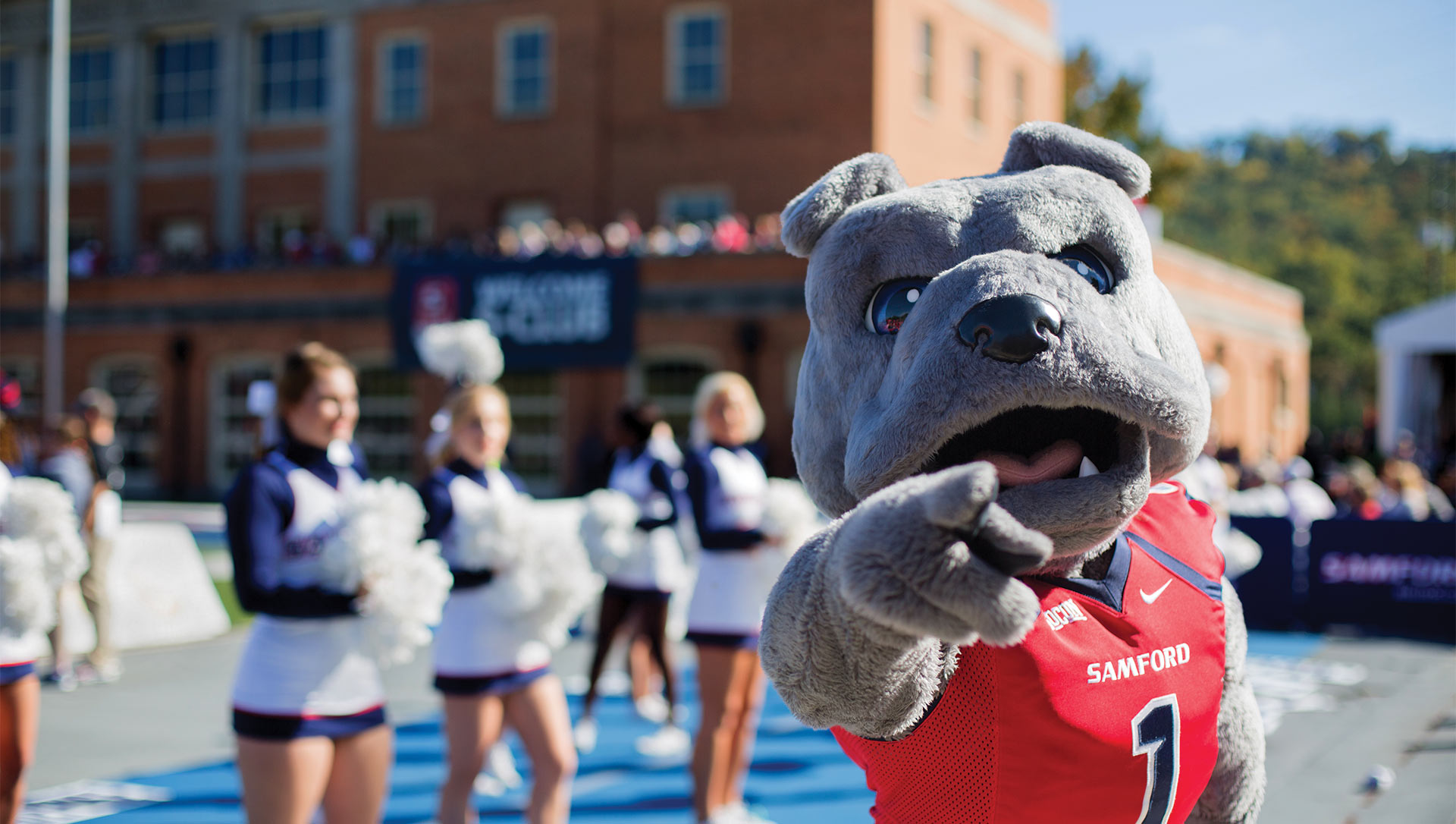 bulldog mascot banner