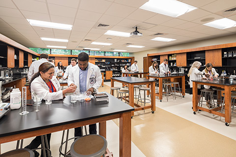 pharmacy students lab table