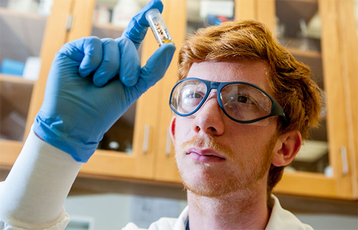 Pharmacy student examining a test tube