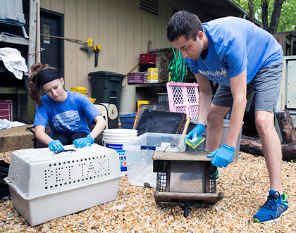 Students Cleaning Pet Carriers