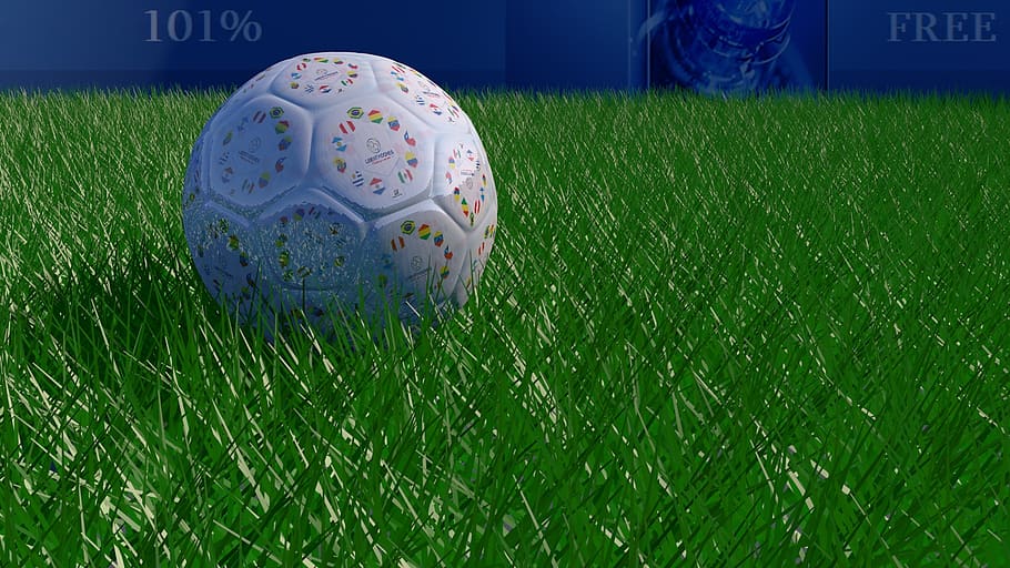 Soccer Ball on Grassy Field